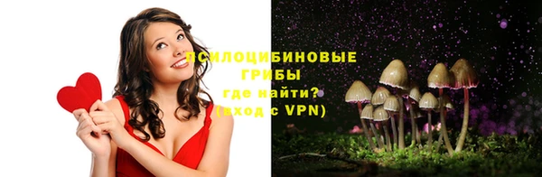 ешки Алзамай