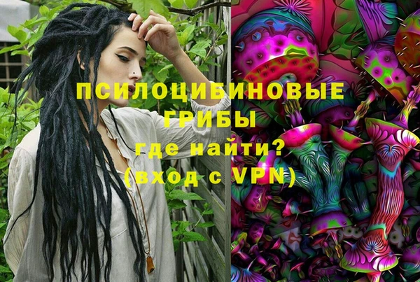 a pvp Алексин