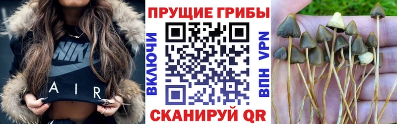 купить  цена  blacksprut ССЫЛКА  Галлюциногенные грибы прущие грибы  Кемь 